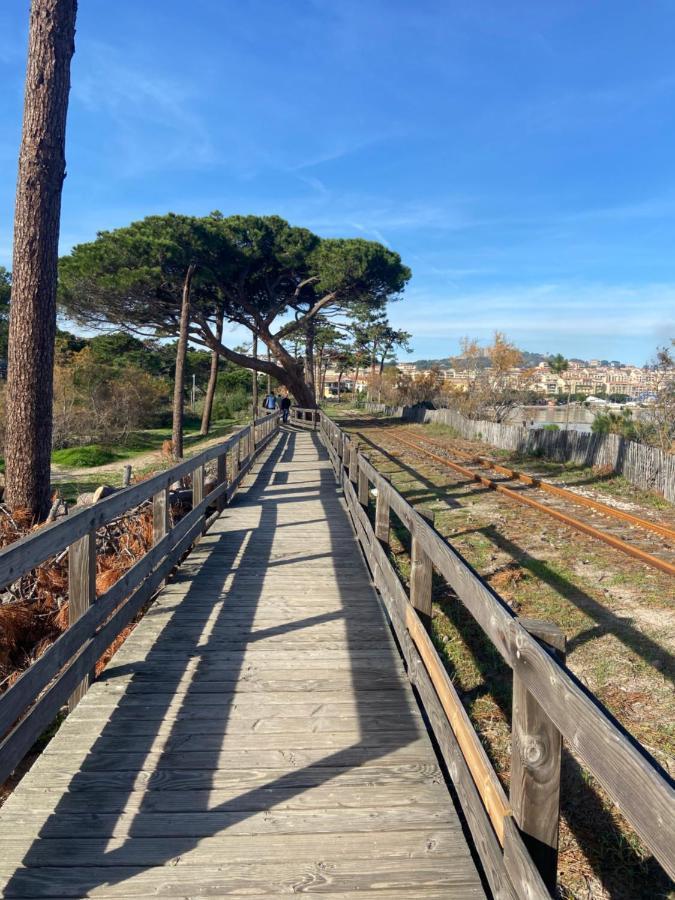 Duplex Calvi Direct Apartment *