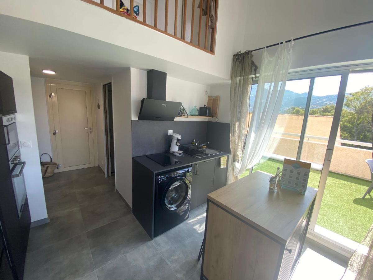 Apartment Duplex Calvi Direct Calvi (Corsica)