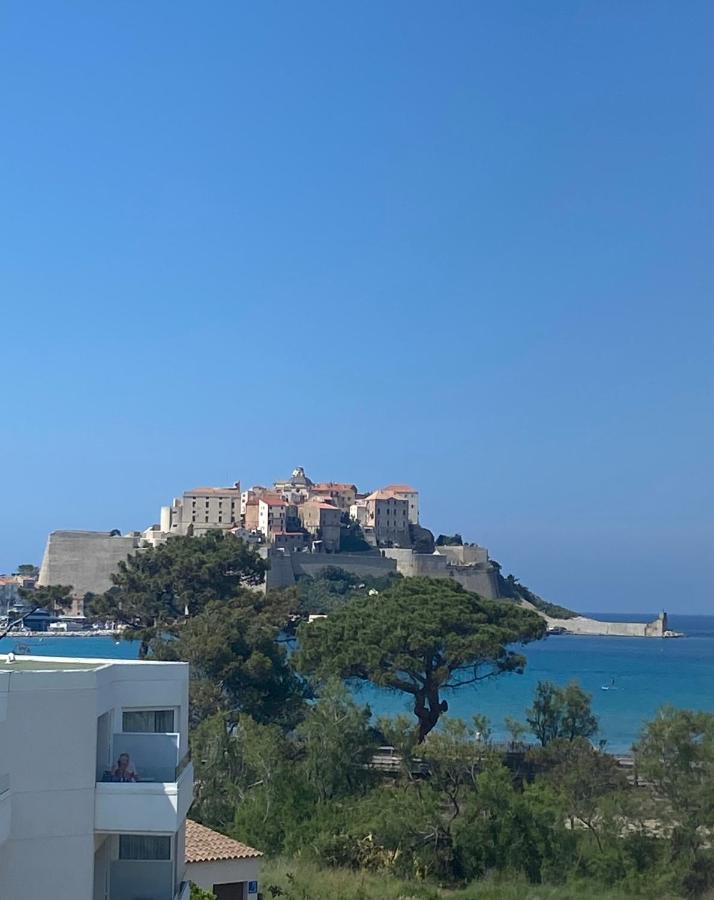 Apartment Duplex Calvi Direct *